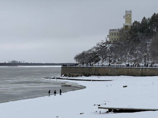 Пока вы спали:"белые банкоматы", выдавить иностранцев, психологу 13 лет, ещё крошка-макака - AmurMedia: Лента новостей, 24.03.2026