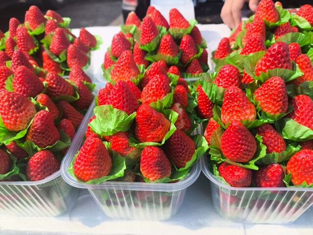 Клубничное изобилие: сколько стоит килограмм ягоды во Владивостоке - PrimaMedia: Лента новостей, 25.03.2026