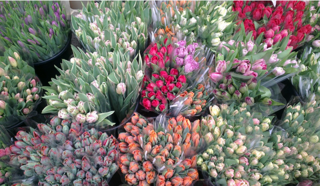 Цветы из Китая продолжают покорять Хабаровский край - AmurMedia: Лента новостей, 26.03.2026