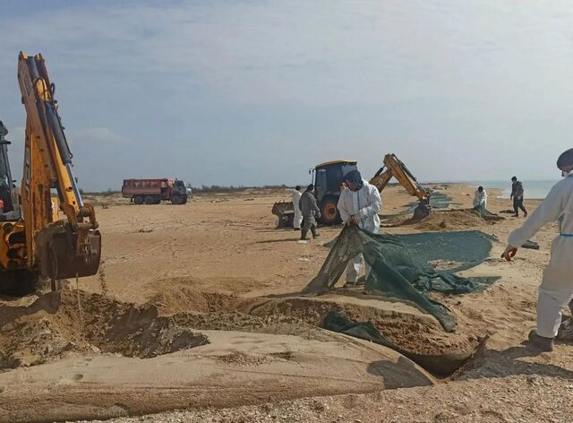 Губернатор Кубани анонсировал масштабную замену песка на пляжах Анапы - KrasnodarMedia, 27.03.2026