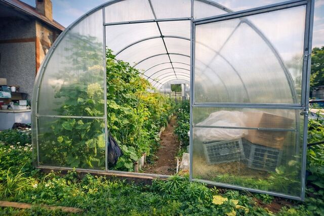 Указ принят: с 1 мая на теплицы вводится запрет - коснется всех, у кого есть дача - UssurMedia: Лента новостей, 30.03.2026