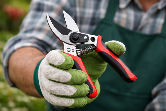 Клубника умоляет об этом в апреле — 3 эффективных способа, как секатором добиться жирных ягод - PrimaMedia: Лента новостей, 30.03.2026