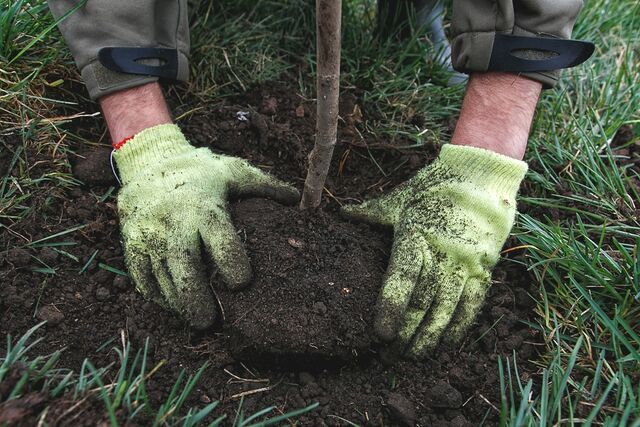 В России предложили вернуть школьникам обязанности по уборке и озеленению - PrimaMedia: Лента новостей, 13.04.2026
