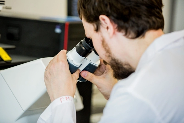 Кишечную палочку нашли в сушёной ламинарии из Приморья - PrimaMedia: Лента новостей, 13.04.2026