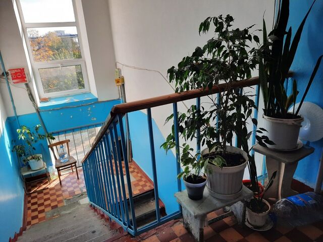 "Дом мечты" по‑уссурийски: тихие соседи и на работу без автомобильной пробки - UssurMedia: Лента новостей, 14.04.2026