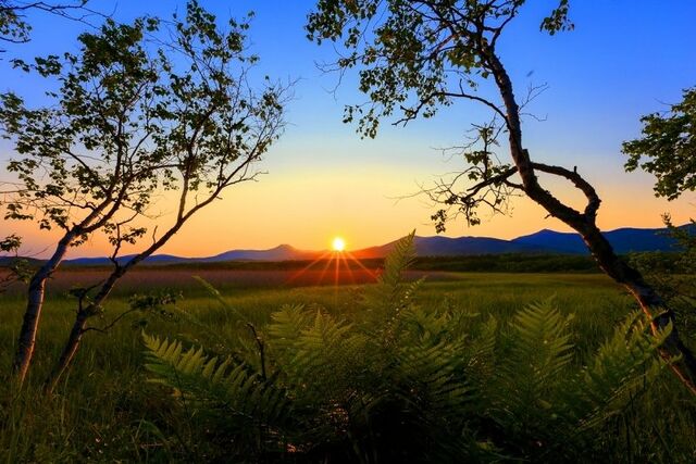 Генпрокурор назвал Сочинский нацпарк лидером по нарушениям среди заповедников - KrasnodarMedia, 15.04.2026