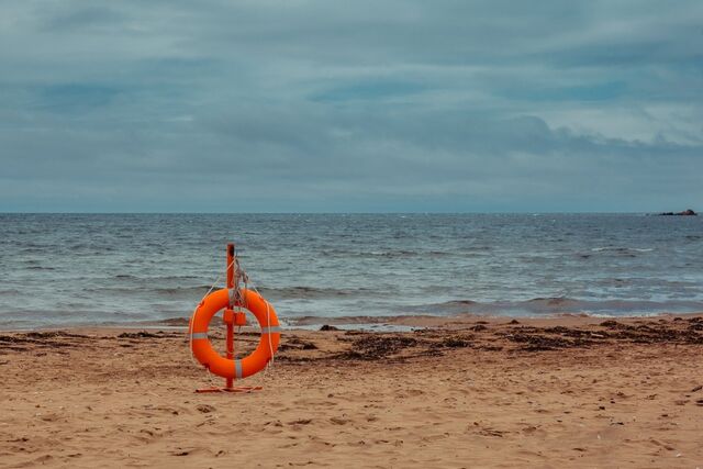 Компании из Находки грозит штраф за снятие слоя почвы при стройке терминала - PrimaMedia: Лента новостей, 15.04.2026