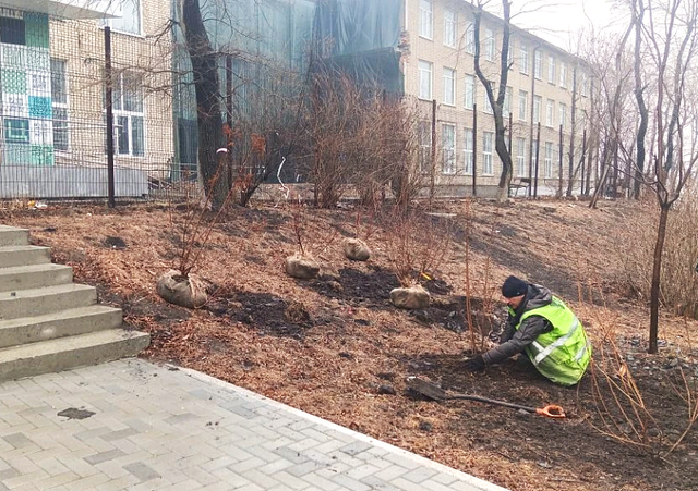 Город в цвету: массовая высадка растений началась во Владивостоке - PrimaMedia: Лента новостей, 17.04.2026