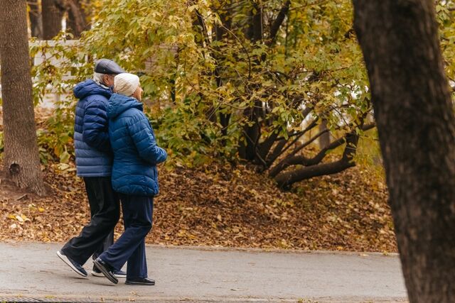 Судьбу 67 парков, скверов и других пространств по всему краю определят приморцы до 12 июня - PrimaMedia: Лента новостей, 18.04.2026