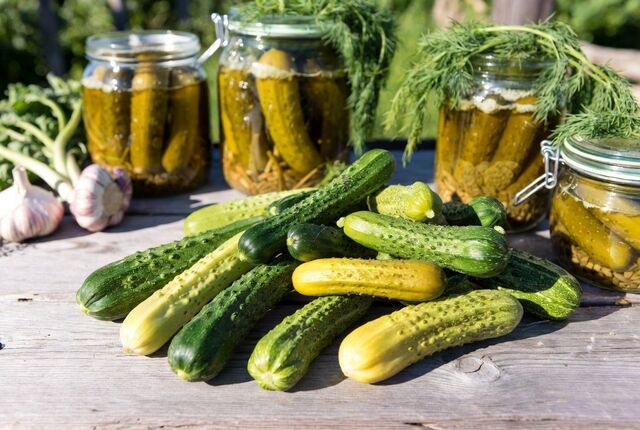 От огурцов теплица трещит по швам: вот чем их задабривают бывалые садоводы — список из 4 подкормок - UssurMedia: Лента новостей, 19.04.2026