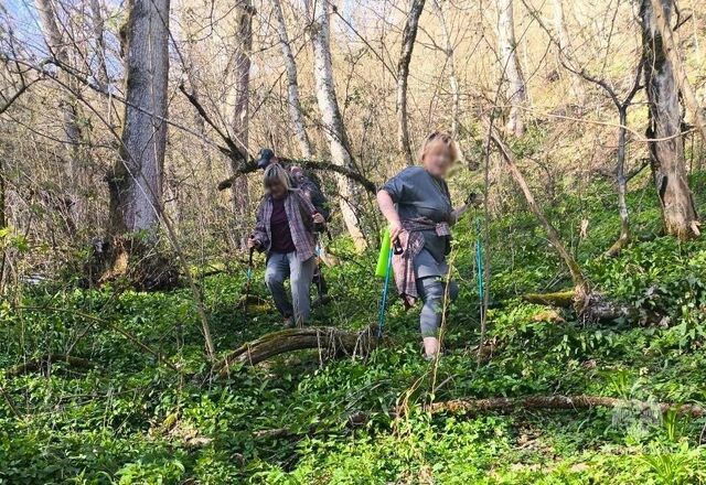 Туристки из Москвы получили травмы при спуске в горах Сочи - KrasnodarMedia, 20.04.2026