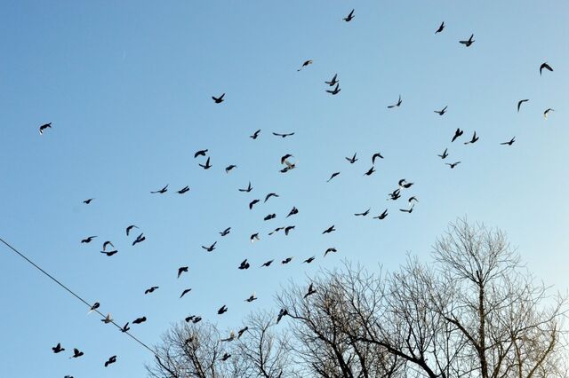 В Уссурийске появится станция для наблюдения за загрязнением воздуха - UssurMedia: Лента новостей, 29.04.2026