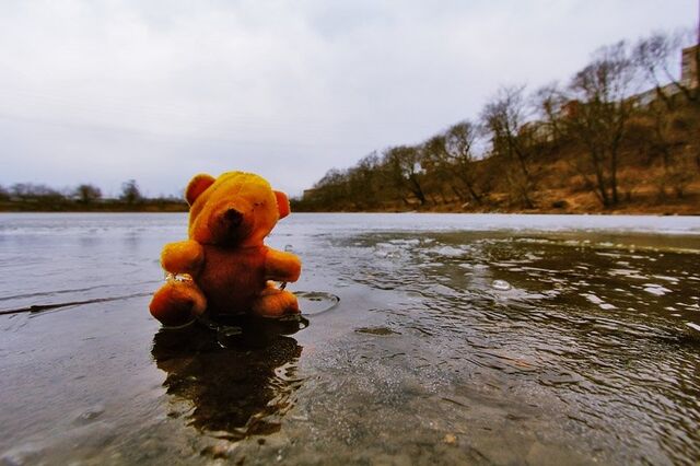 На Кубани пьяная пара убила годовалого малыша и бросила его тело в лесу - KrasnodarMedia, 29.04.2026
