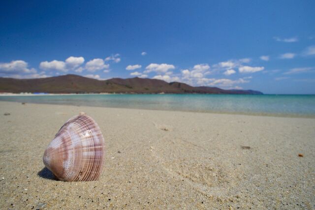 Дешевле Турции в 5-7 раз: нашли туры с отдыхом на майские по 28 000 рублей с человека - AmurMedia: Лента новостей, 29.04.2026