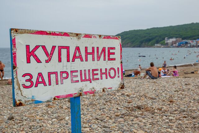 Море в мазуте и радужных пленках — жители Приморья бьют тревогу перед купальным сезоном - PrimaMedia: Лента новостей, 08.05.2026