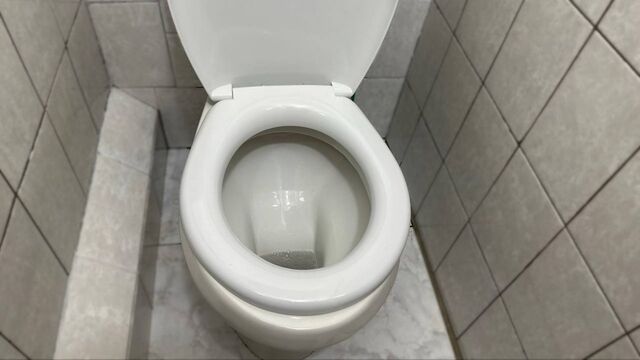 Не уксус и не лимонка: 2 ложки этого порошка в бачок - и унитаз сияет белизной, а налета у ободка как не бывало - AmurMedia: Лента новостей, 26.05.2026
