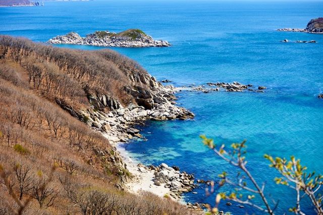 На курорте Египта новый случай нападения морского обитателя на россиянку - KrasnodarMedia, 18.08.2026