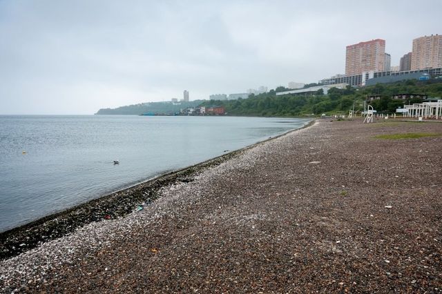 Нестабильная погода задержится в Приморье, а во Владивостоке потеплеет до +25 °C - PrimaMedia: Лента новостей, 02.09.2026