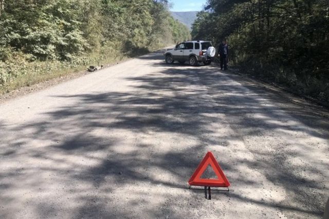 Начинающий водитель погиб в ДТП на грунтовой дороге под Находкой - PrimaMedia: Лента новостей, 08.09.2026