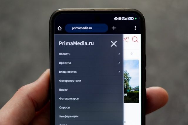 Картина недели: акулы и тунцы у берегов Приморья, судно-призрак и экзотические приключения Картина недели: акулы и тунцы у берегов Приморья, судно-призрак и экзотические приключения - PrimaMedia: Лента новостей, 13.09.2026