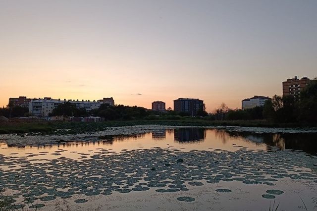 Воздух под контролем, борьба с пьянством, баклан в поликлинике: что читали в Уссурийске - UssurMedia: Лента новостей, 13.09.2026