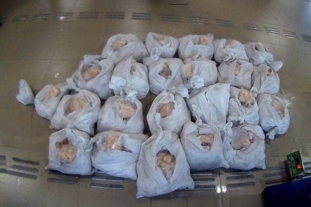 Таможенники Уссурийска не дали вывезти почти 350 кг морского гребешка в Китай - PrimaMedia: Лента новостей, 14.09.2026
