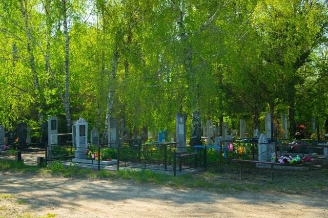 В регионах России просят не оставлять еду на кладбищах из-за медведей - UssurMedia: Лента новостей, 17.09.2026