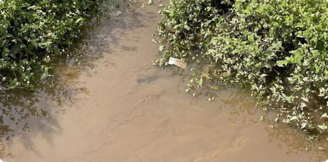 "Грязная вода" в приморском посёлке Рыбачьем вызвала реакцию прокуратуры "Грязная вода" в приморском посёлке Рыбачьем вызвала реакцию прокуратуры - PrimaMedia: Лента новостей, 18.09.2026