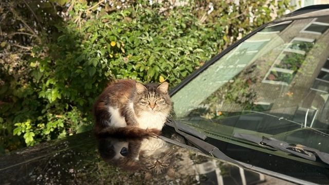 Похолодание до +3°C и дождь ворвутся в Уссурийск в выходные Похолодание до +3°C и дождь ворвутся в Уссурийск в выходные - UssurMedia: Лента новостей, 01.10.2026