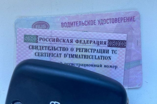 Автоматически продленные права – с 1 октября 2026 года недействительны - PrimaMedia: Лента новостей, 11.10.2026