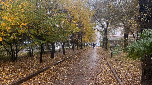 Картина дня: сокращение маршрутов электричек, "раздетые" локомотивы, конкурс педмастерства - UssurMedia: Лента новостей, 13.10.2026