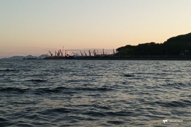 Дожди ослабеют, но ударит холод: Приморье 14 октября ждёт перелом погоды - NakhodkaMedia: Лента новостей, 14.10.2026