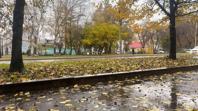 Картина дня: подростки заставили школьницу есть листья, первые призывники ушли в армию - UssurMedia: Лента новостей, 14.10.2026