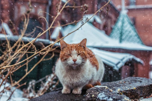 "Ледяное вторжение": синоптики предупредили о резком похолодании в Приморье - PrimaMedia: Лента новостей, 15.10.2026