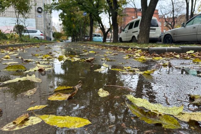 Когда жителям Уссурийска понадобятся зонты - прогноз погоды на выходные Когда жителям Уссурийска понадобятся зонты - прогноз погоды на выходные - UssurMedia: Лента новостей, 16.10.2026