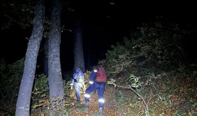 Двух братьев в тяжёлом состоянии спасали больше суток в горах Сочи - KrasnodarMedia, 17.10.2026