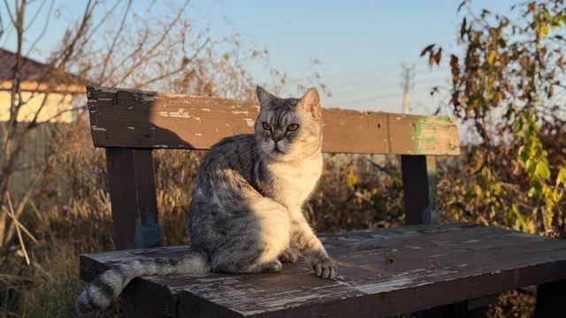 Обстановка на новом мосту и в парке ДОРА, кто пишет детские песни: что читали уссурийцы - UssurMedia: Лента новостей, 18.10.2026