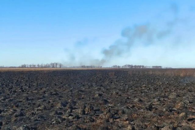 Огонь вплотную к жилью: пожар площадью 650 га тушат в Приморье - PrimaMedia: Лента новостей, 23.10.2026