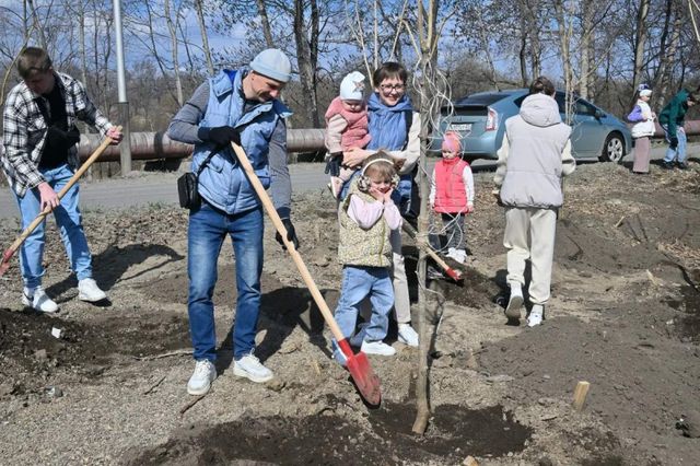 Никакой экзотики: Хабаровск делает ставку на местное озеленение - AmurMedia: Лента новостей, 29.10.2026