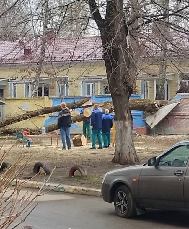 В Воронеже упавшее дерево пробило забор на территории детской больницы. - Новости Воронежа | РИА «Воронеж», 03.04.2026