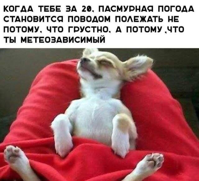Метеозависимым россиянам хотят разрешить не ходить на работу и оформлять больничный на время магнитных бурь - РОСТОВ ПАПА 🇷🇺 🇷🇺🇷🇺🇷🇺🇷🇺РОСТОВ-НА-ДОНУ, 10.11.2025