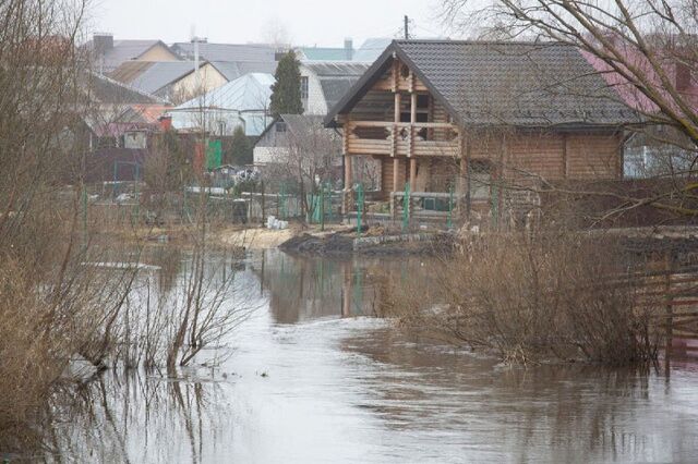 Более 550 домов могут пострадать от паводка в Воронежской области - Воронежские новости, 21.02.2026
