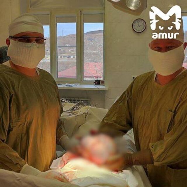 Две опухоли размером с мячи мешали жительнице Приморья ходить в туалет. - Telegram Владивостока, 06.03.2026
