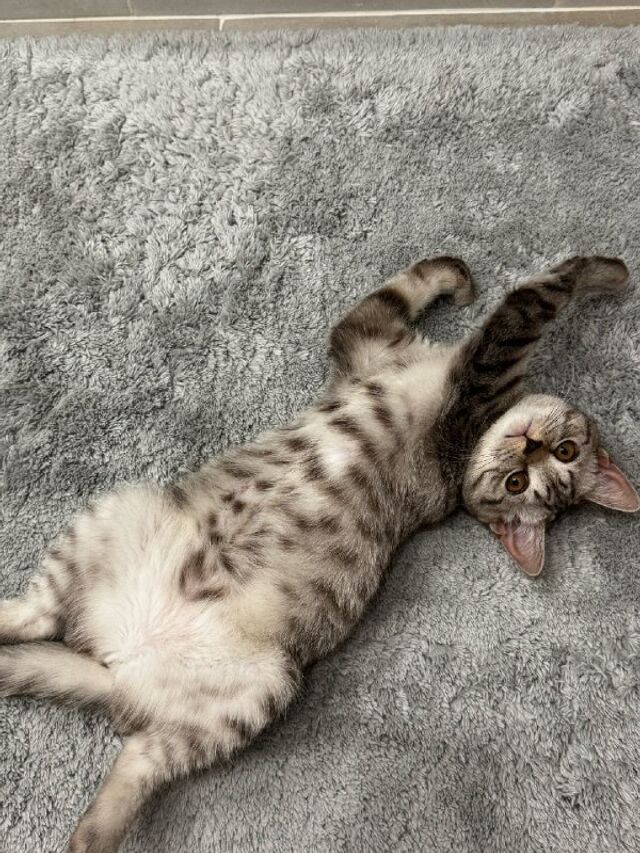 Доброе утро, Алтайский край! Доброе утро, Алтайский край! - Катунь 24 — новости Барнаула и Алтайского края, 22.03.2026