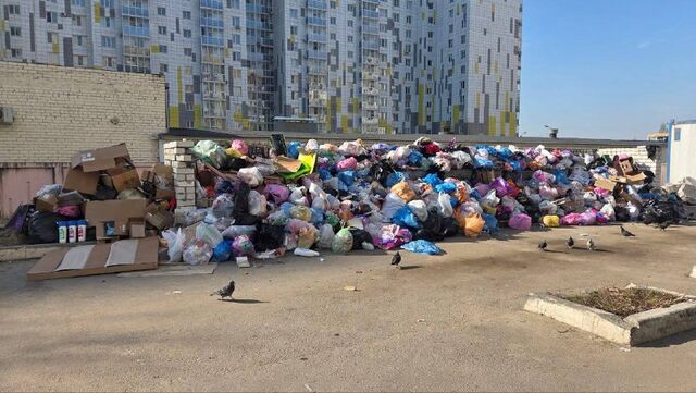 А это Беговая, 225 - Воронеж №1, 05.04.2026