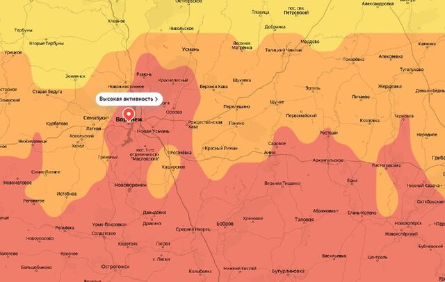 Аллергики, приготовьтесь! - 36ON Воронеж|Новости, 05.04.2026