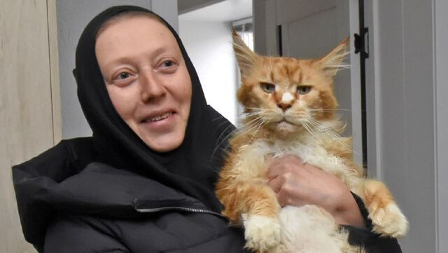 Как монахиня Арсения за 31 год спасла 20 тысяч кошек - МОЁ! Online. Воронеж, 05.04.2026