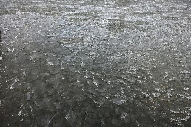 На Шарташе утонул мужчина На Шарташе утонул мужчина - Новости Uralweb.ru, 16.04.2026