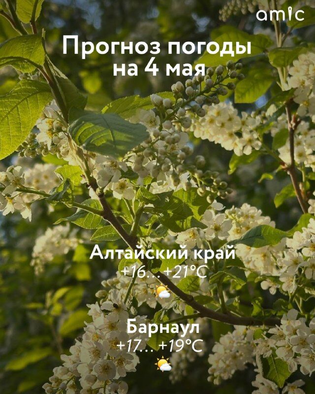 До +21 градуса. - Amic.ru, 04.05.2026