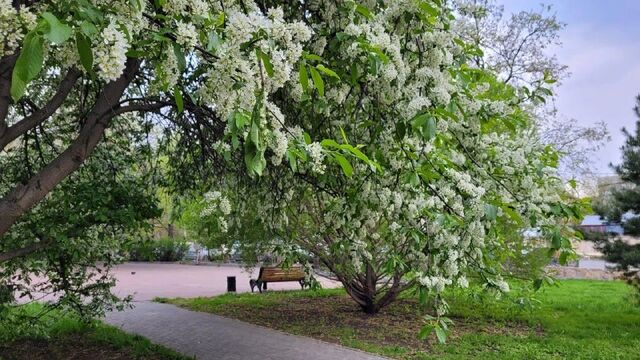 Синоптики прогнозируют в Челябинской области грозы и до 26C - Новости Челябинска, 07.05.2026